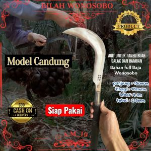 Sabit Arit Candung Ramban   Panen  Pruning  Bersih " Kebun Full Baja Sepuhan Super Wonosobo