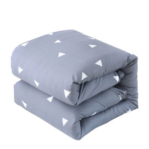 Thickened Multi-season Cotton Quilt with Pad Cover