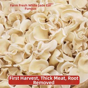 White Top-Grade Bamboo Ear Fungus 500g