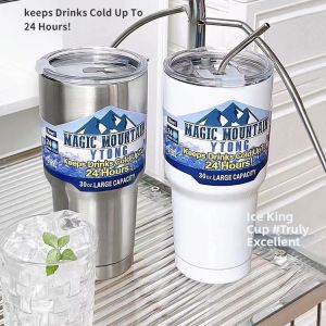 Insulated Mug for Cold and Hot Drinks Stainless Steel