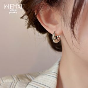 WENXI | Minimalist Luxury Unique Silver Earrings