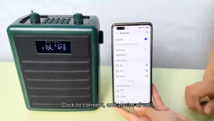 SHIDU Portable Bluetooth Speaker with Wireless Microphone Bluetooth Speaker with mic Wireless Bluetooth Dual Microphone Karaoke Speaker 3D Stereo Amplifier party