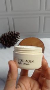 VIVA COLLAGEN NIGHT CREAM 22 GR / Krim Mlm Collagen
