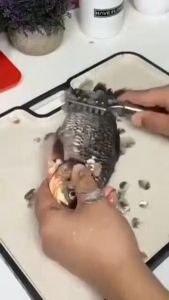 Pembersih Sisik Ikan Stainless Full Fish Scale Skin Remover Alat Pembersih Sisik Ikan