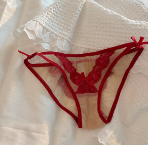 Quần Lót Tam Giác Ren Gợi Cảm Cạp Thấp Thoáng Khí Cho Nữ Quần Lót Ren Lưới Thắt Nút Bướm Mềm Mại Thoải Mái Pure Desire