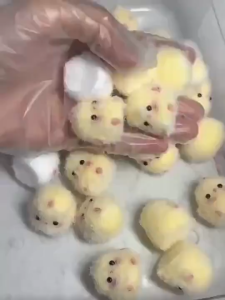 Cute Squishy Chick Soft Squeeze Silicone Toy Stress Relief Mini Chicken Fidget Toy Kid Birthday Gift