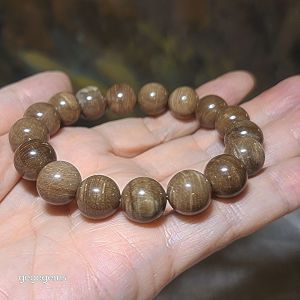 Gegegems Collection 12mm premium aged Madagascar Petrified Wood bracelet [Natural Crystal]