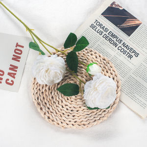 Đạo Cụ Chụp Ảnh Hoa Mẫu Đơn Pha Lê Trang Trí Nhà Phụ Kiện Trang Điểm Làm Đẹp Đồ Chơi Hoa Tươi Giả