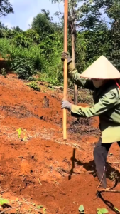 [Quà tặng] Máy mát xa cầm tay mini ZLIFE Z658 súng massage toàn thân với 8 đầu thay thế 99 cấp độ