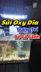 Sủi Dĩa Oxy Siêu Mịn Cho Bể Cả Cảnh (Đường Kính 10cm 12cm)