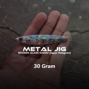 Metal Jig 30 Gram Silver Hologram Casting Lure 30g Tenggirian Murah Killer