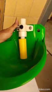 Tempat Minum Kambing, Domba & Babi Otomatis: Valve Plastik & Chopper