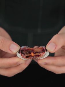 Dụng cụ tách sò huyết kim loại chuyên nghiệp