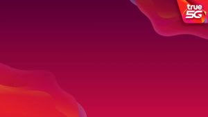 (แท้100% ชำระค่าโปรก่อนใช้งาน ) ซิมทรู True เน็ตไม่อั้น ไม่ลดสปีด เฉพาะเล่น Tiktok + โทรฟรีทุกเครือข่ายได้