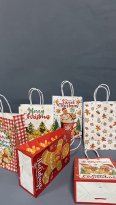 12pcs Assorted Style Christmas Bags with Tag for Wrapping Xmas Holiday Presents Giftaway