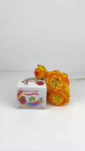 [Tặng kèm cuộn khăn Tẩy trang Grenobil]KEM DƯỠNG TRẮNG DA CHỐNG LÃO HÓA VÀ MỜ NÁM HOLYCARE 9IN1 20GRAM