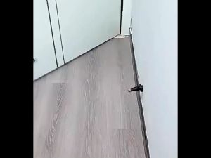 Door Stoppers Magnetic Door Catch for Bottom Top of Door No Drill