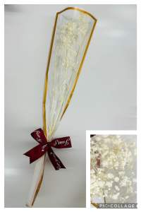 Gypsophila (Baby’s Breath) Dried Flowers in a simple bouquet with ribbon for gift