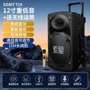 Soaiy T19 Square Dance Outdoor Bluetooth Speaker Bass Cannon Pull Rod Sound Box Double Speaker ABS Plastic Body Card Insertion