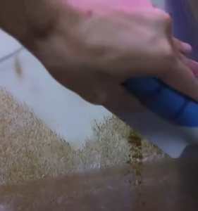 SOBO Aquarium Magnetic Glass Cleaner Magnet SB-BMIN / SB-BMID / SB-BMAX / SB-BMAXX