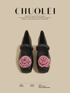 CHUOLEI | Spring New Hit Mary Jane Leather Shoes Black Flower Single Strap Low Heel