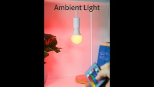 RGB LED Remote Control Bulb Christmas Light  Dimmable Smart Lights Color Change Light Bulb Colored Illumination Bulb