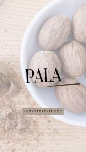 Pala - Nutmeg - Ragam Rempah Jamu Gendul 88