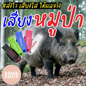 แฟลชไดร์ฟเสียงหมูป่าเสียงหมูป่าเสียงหมูป่าเมมเสียงหมูป่า มีเก็บเงินปลายทาง