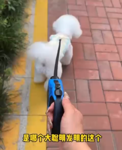 EZPET🐱【Pet Automatic Retractable Leash 3m/5m】Cat Dog Harness Adjustable Leash Strap Extendable Walking Rope Tali Haiwan