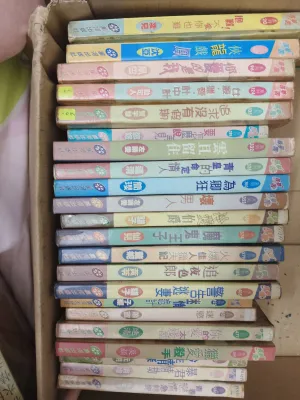 Second Hand Novel 二手小说 寻夢園系列