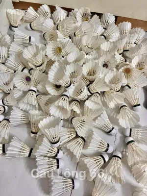 Cầu lông cũ 50-80% | 1 ống / 12 quả
