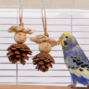 ‌Natural Pine Cone Bird Chewing Toy - Durable Climbing Gym for Lovebirds/Conures/Quaker Parrots ‌