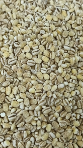 荷兰薏米 500g Pearl Barley 洋薏米  意米 凉茶 Netherlands Barley Barli Holland Barley Chinese Herb