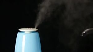 Swimming Goggles and Swim Cap Sets With Nose Clip Earplugs Waterproof Anti Fog UV Protection Adult OL