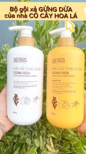 Combo Phục Hồi Chuyên SâuBộ Đôi Gội + Xả Thảo Dược Gừng Dừa Cỏ Cây Hoa Lá 440g – Nuôi Dưỡng Tóc Khô Xơ Cấp Ẩm Chuyên Sâu Giảm Gãy Rụng