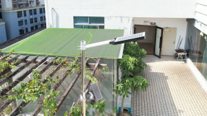 【BUY 1 TAKE 1】Lucky-PP Solar street light 4500W/6000W outdoor solar light solar lights with solar panel solar light outdoor waterproof solar light solar lights solar lights buy 1 take 1 solar light outdoor