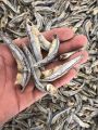 1kg Cá cơm xanh khô ngon.