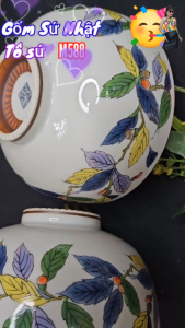 Gốm Sứ Nhật Bản cao cấp TÔ SỨ đẹp các loại ( Bán theo cái )