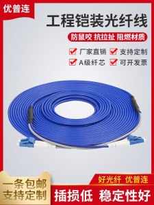 Armored Fiber Optic Jumper SC to LC-FC-ST Single-Mode Single-Core Multi-Mode Four-Core Optical Brazing Wire Mouse-Proof Tensile Waterproof Optical Cable 3 M5/8/10/20/50/100 M Telecom-Grade Pigtail Jumper