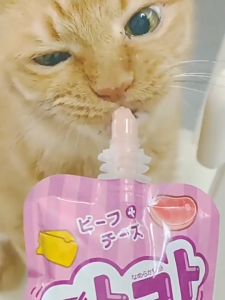 【SG Seller】Hells Kitchen Nutritional Cat Wet Food Pouch(90g/100g) Meat Paste Cat Treats Kitten Food Wet Cat Food