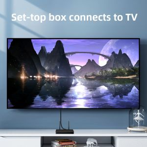 Choseal | Dây Cáp Video Component Cao Cấp Đỏ Xanh Lá Xanh Dương