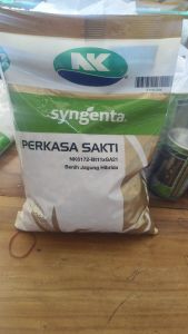 BBENIH JAGUNG HIBRIDA PERKASA SAKTI