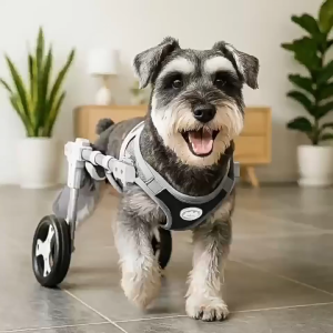 HATELI Dog Wheelchair for Small Medium Large Dogs Cats Adjustable 2/4 Wheels Mobility Aid Lightweight Rehabilitation Brace Disabled Dog Walking Assistant Pet Trolley