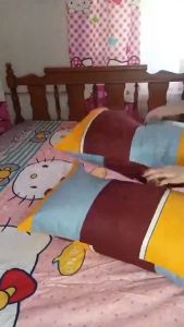 Buy 6 Take 6 12pcs Pillow Case Cover Punda With Zipper Sale