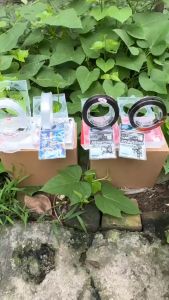 CƯỚC SĂN HÀNG MỸ NHÂN NGƯ CHÍNH HÃNG TẶNG KÈM LƯỠI MỸ NHÂN NGƯ DÀI 100 MÉT TẢI TĨNH 18 CÂN TẢI THỰC 30 ĐẾN 40 CÂN