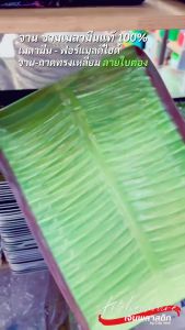 จานเมลามีนแท้ 100% ถาดเมลามีน ทรงเหลี่ยม ดีไซน์สวย ลายใบตอง!