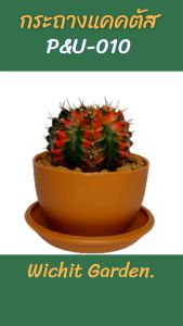 กระถางแคคตัส รุ่นPU-010 ขนาด 2.5 นิ้ว สีอิฐแดง กระถางปลูกต้นไม้ เนื้อพลาสติกแน่นหนาทนทาน ราคาถูก กระถางแคคตัส กระถางกระบองเพชร