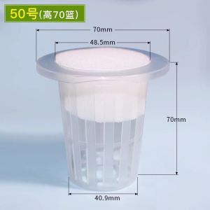 Hydroponic Vegetables with Holes Floating Planting Board Aquatic Vegetables Strawberry Foam Board Fish Pond Greenhouse Soilless Cultivation Equipment
