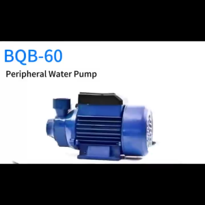 REAIM Self Priming Water Jet Pump Heavy Duty Electric Water Pump Portable Booster Pump High lift Automatic Booster Pump Shallow well Water Pump