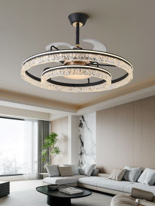 Aiskdan | Modern Minimalist Ceiling Fan Light